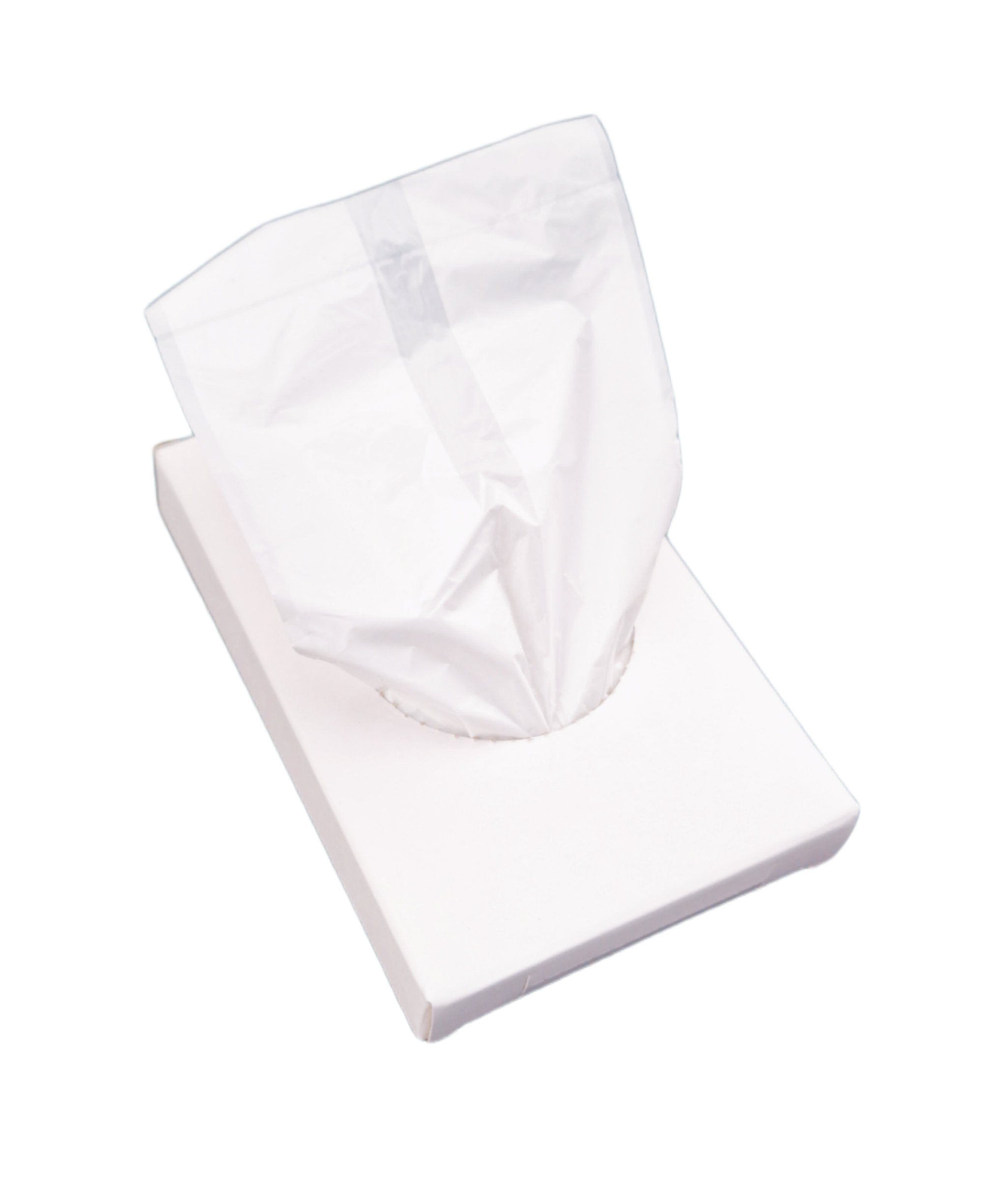 Nachfüllpackung Hygienebeutel Plastik 30 Stück pro Packung Nachfüllpackung Hygienebeutel Plastik 30 Stück pro Packung